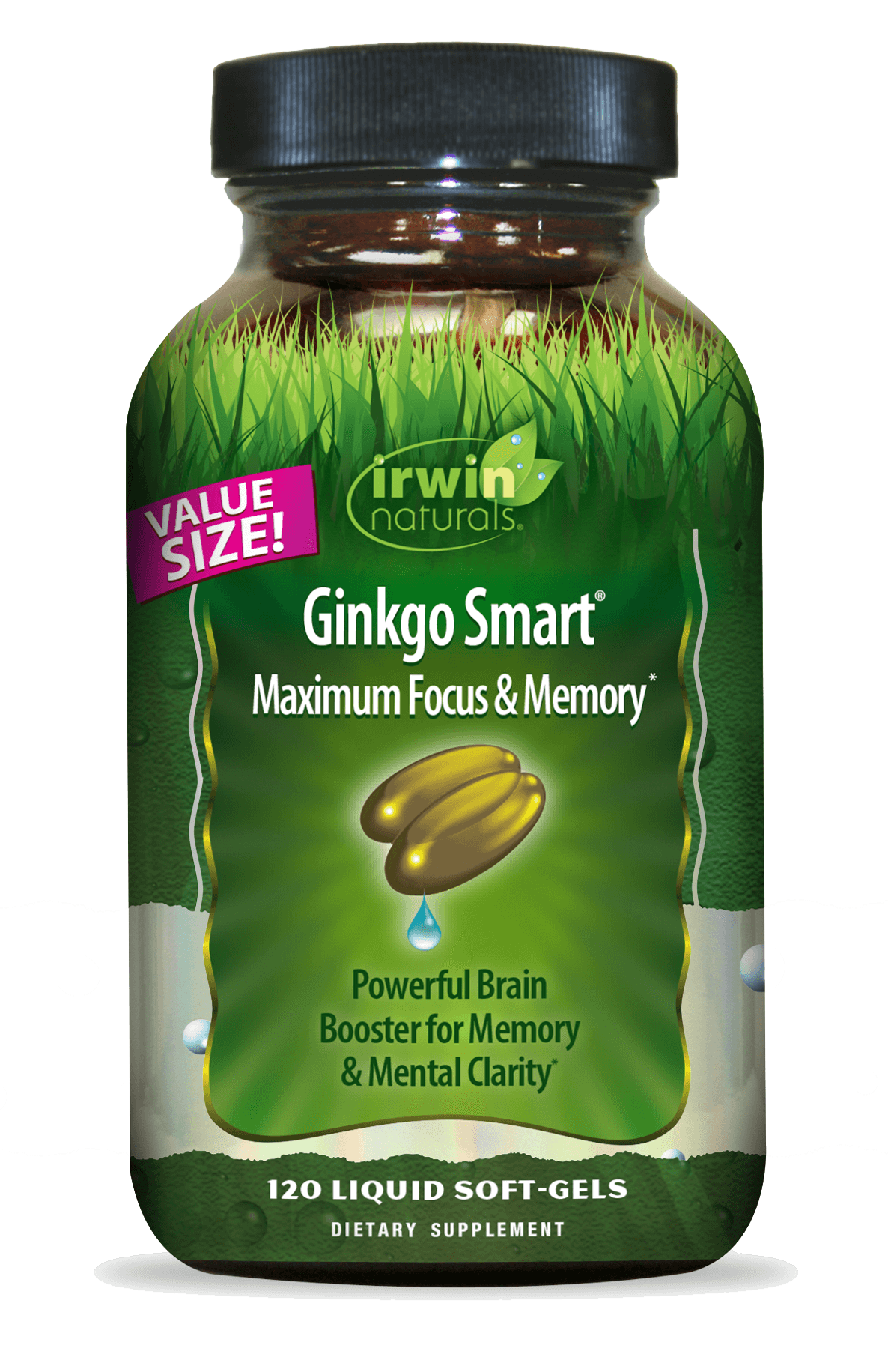 value size ginkgo smart maximum focus and memory by Irwin Naturals